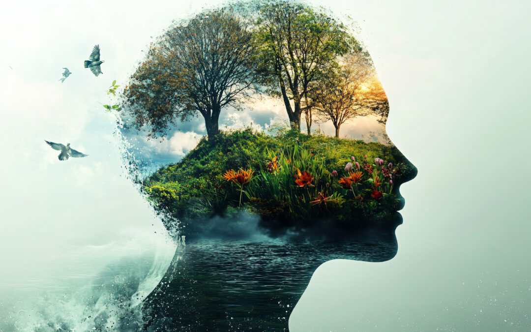 Dauerstress durch veraltetes Betriebssystem?